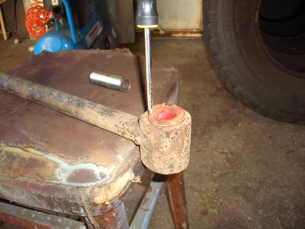Bushstuff009.jpg