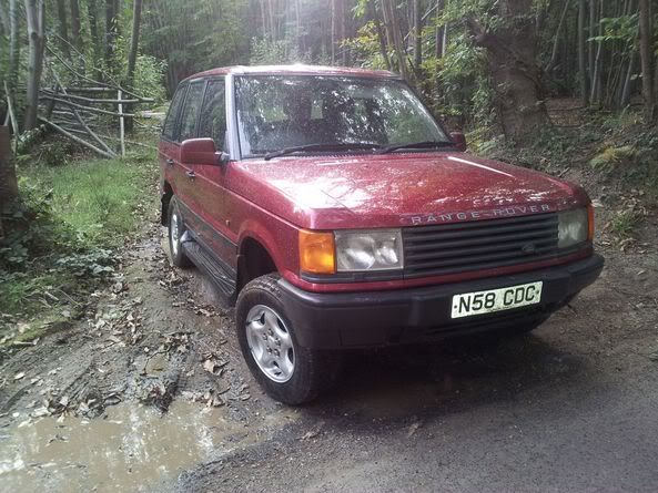 rangie2.jpg
