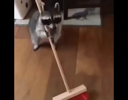 15e62ab221bb25b87aea9895cd0d4fce.gif