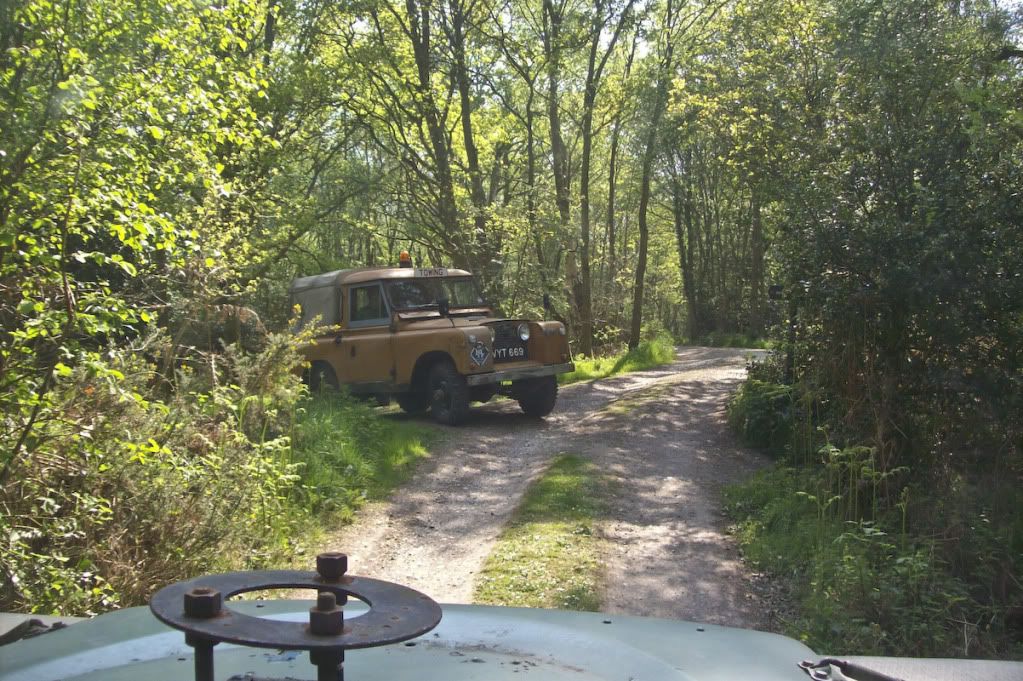 greenlaning_today-1.jpg