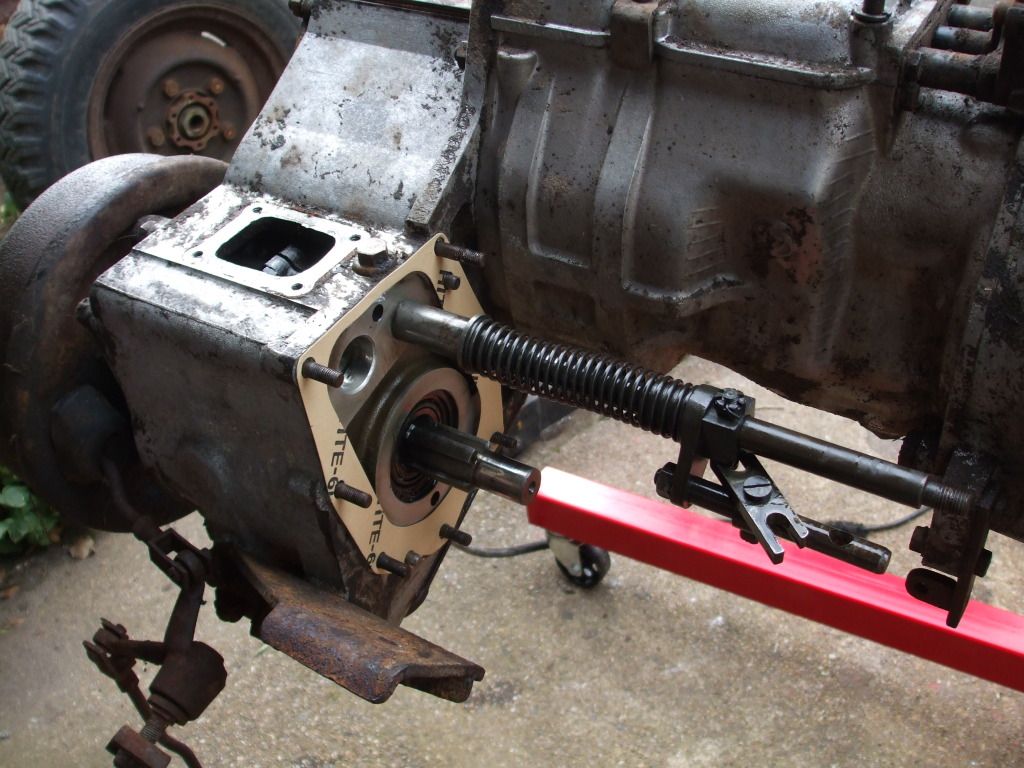 f81818e9.jpg