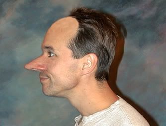 Bruce_bald_and_big_nose_2_copy.jpg