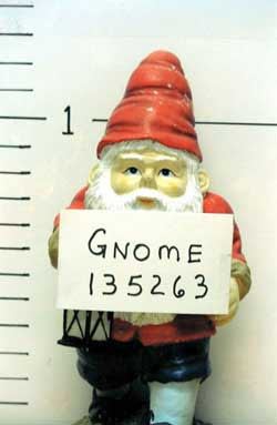 Gnome.jpg