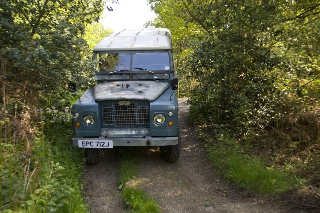 greenlaning-7.jpg