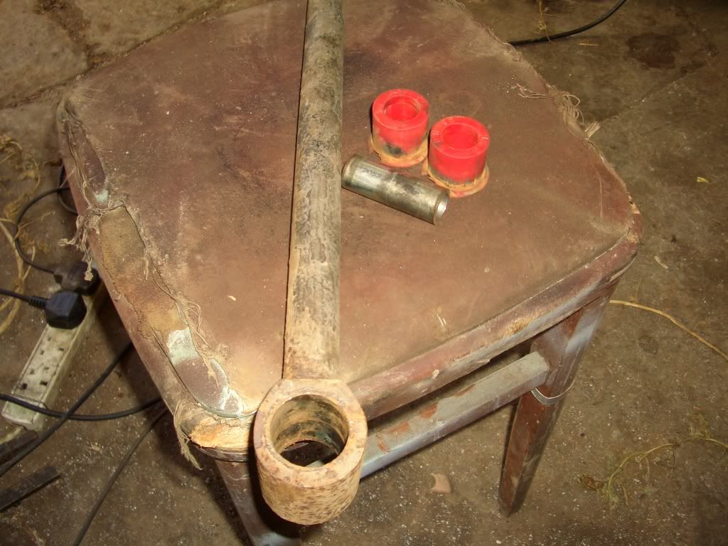 Bushstuff010.jpg