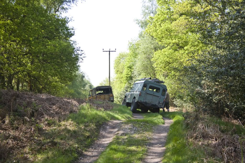 greenlaning-4.jpg