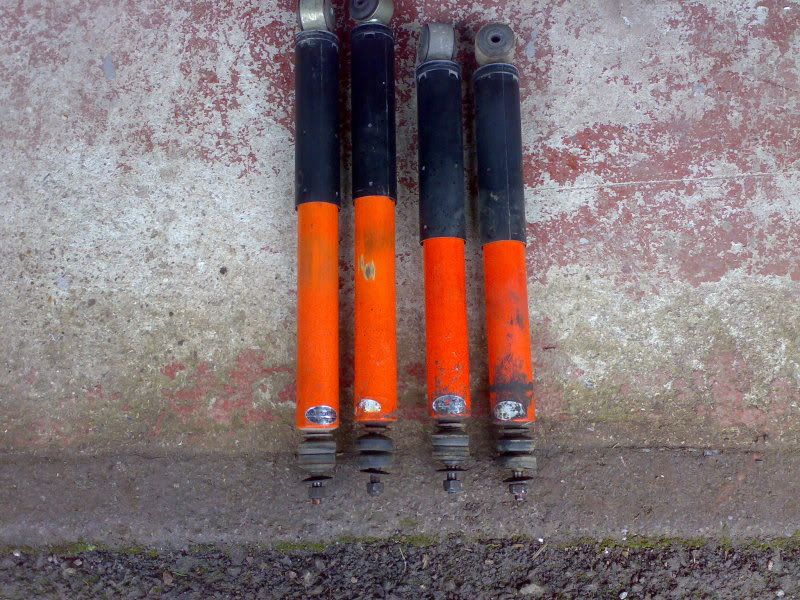 31012009046.jpg