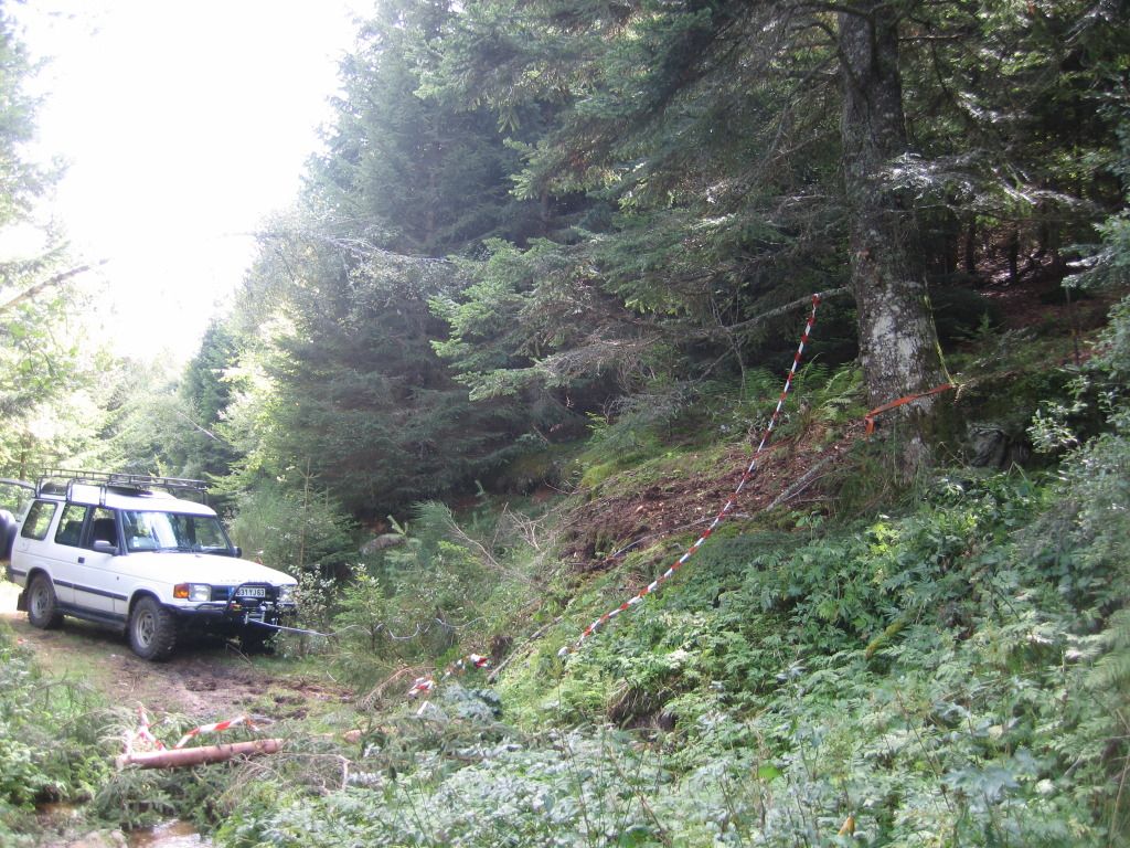 IMG_5953.jpg