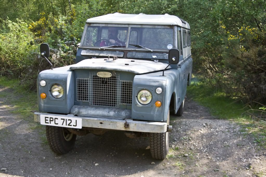 greenlaning-11.jpg