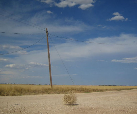 tumbleweed.jpg