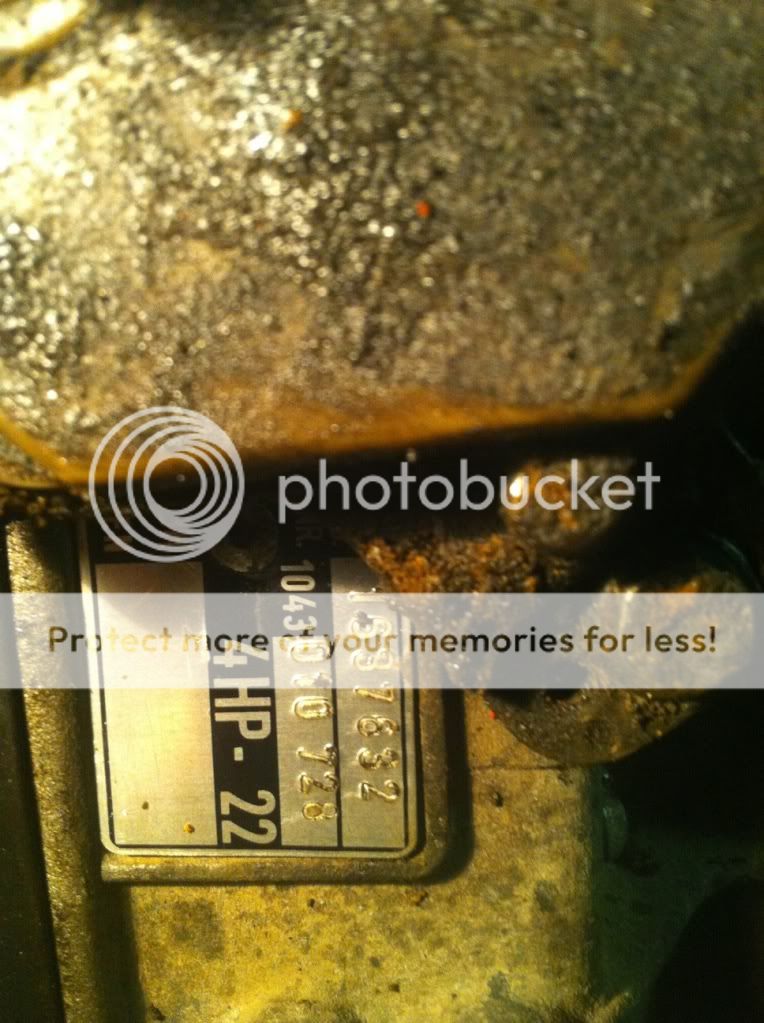 photo4.jpg