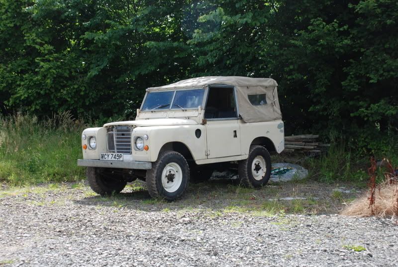 DSC_0877.jpg