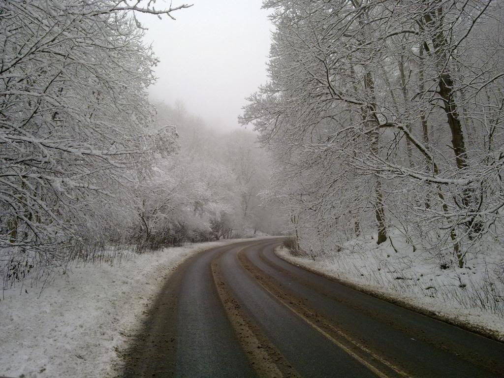 24122009098.jpg
