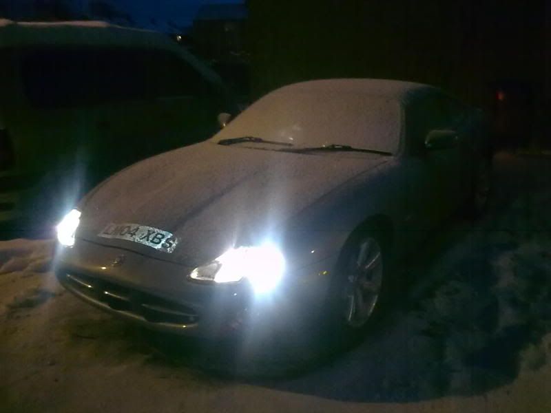JaguarInSnow2010-1.jpg