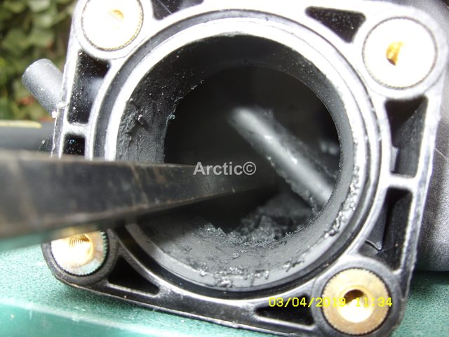 50P98Col.jpg