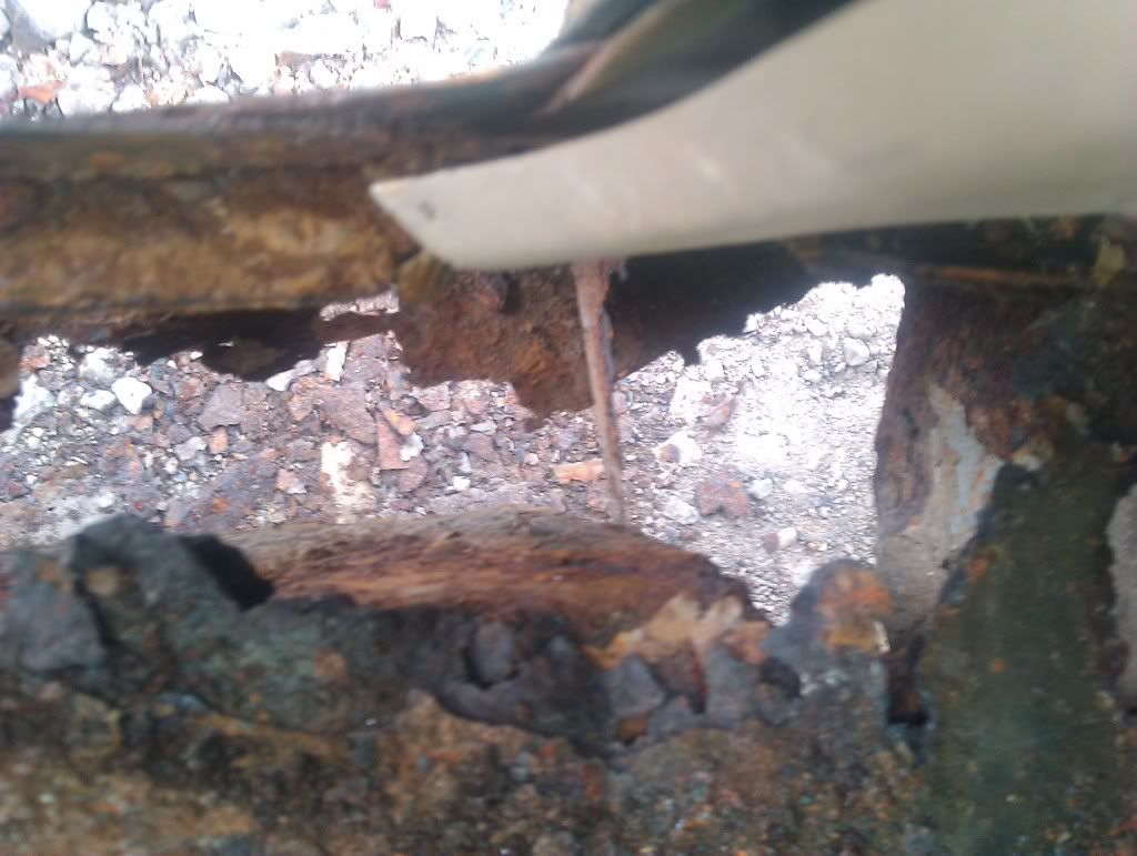 IMAG0466.jpg