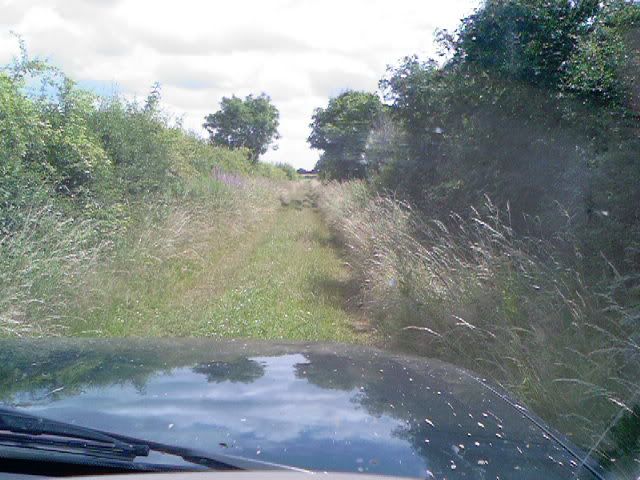 Photo-0011.jpg