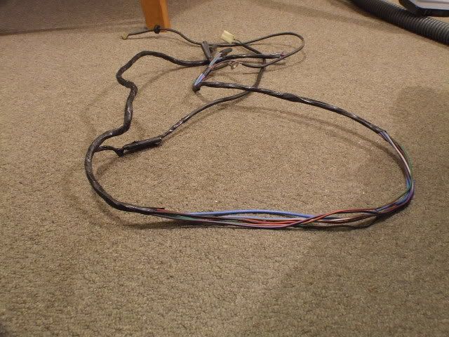 DSCF3486.jpg