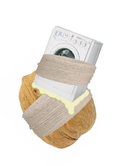 nutwasher.jpg