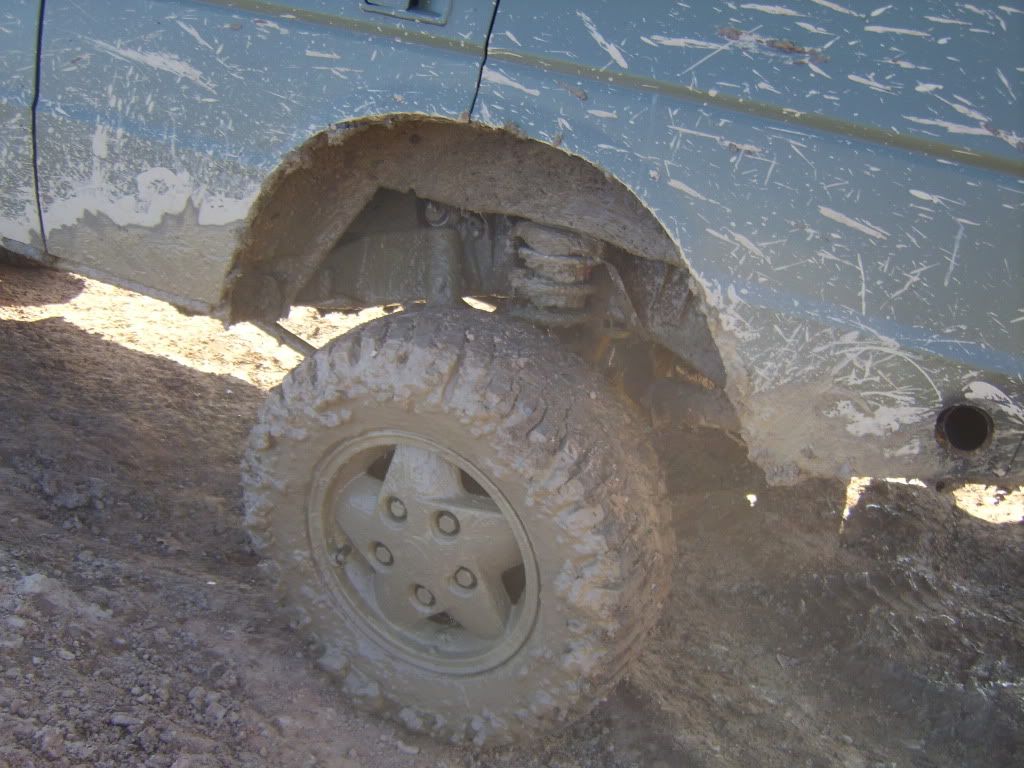 STA71403.jpg