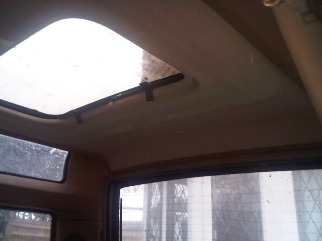 IMG00582-20101223-0941.jpg