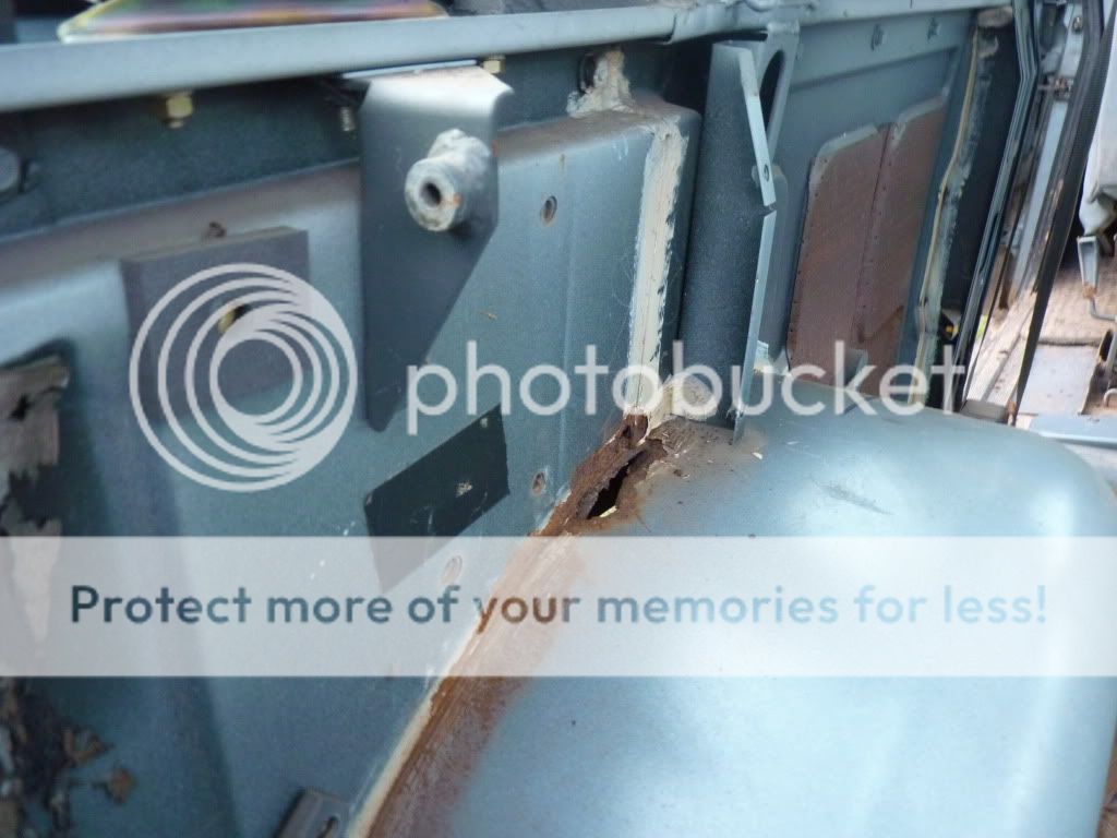 t012.jpg