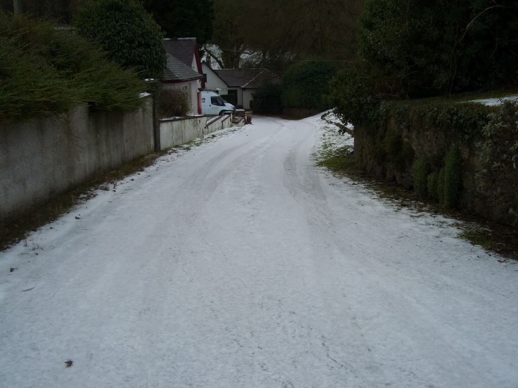 Driveway.jpg