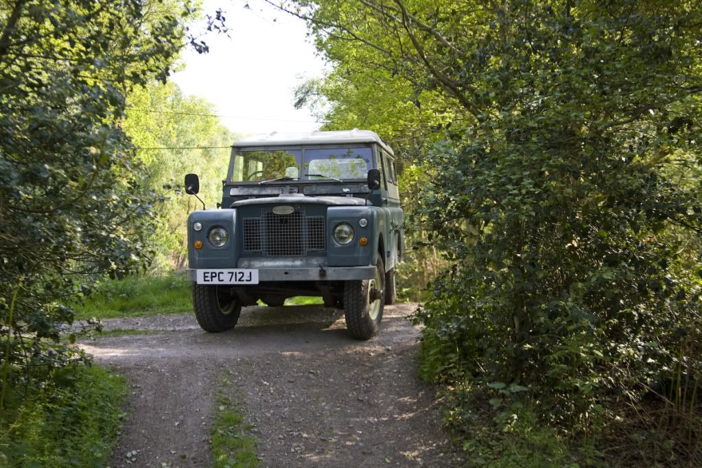greenlaning-5.jpg