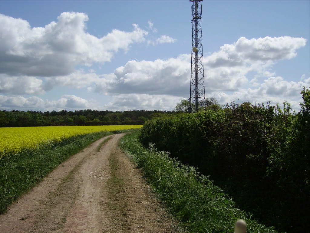 sawtrylanes09006.jpg