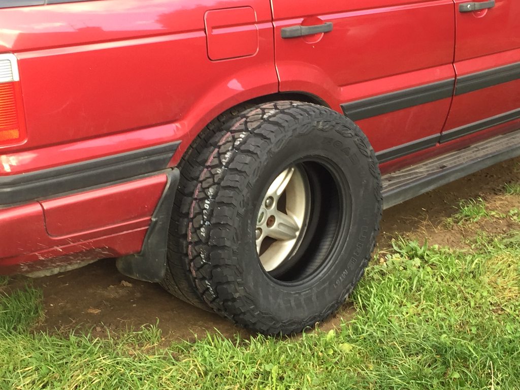 81SP63jh.jpg
