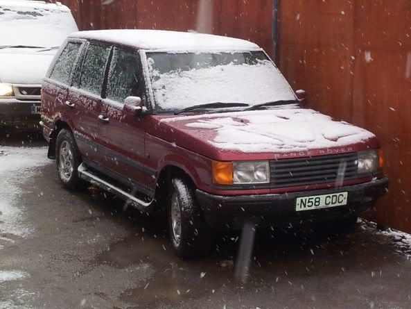 rangie1.jpg