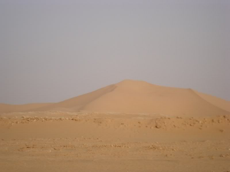 6sanddune.jpg