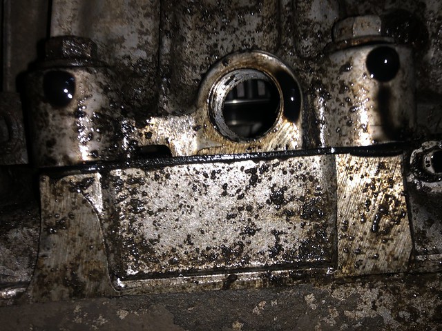 50849596613_525b278913_z.jpg