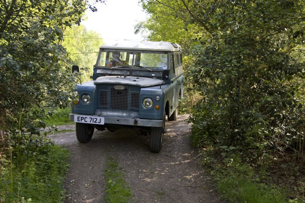 greenlaning-6.jpg