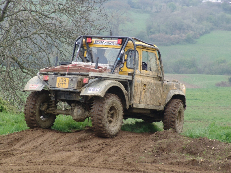 Yellow110_03.JPG