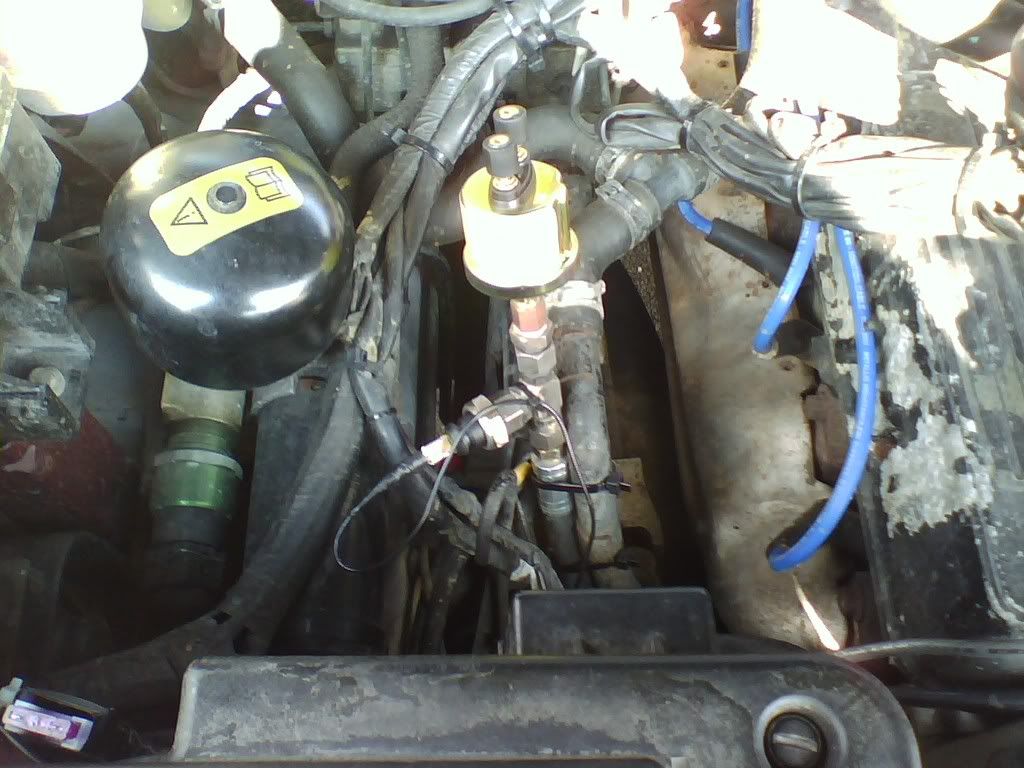 P14-04-08_1118.jpg