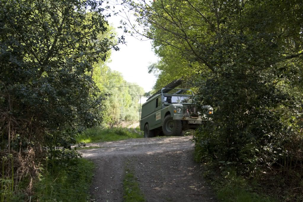 greenlaning-1.jpg