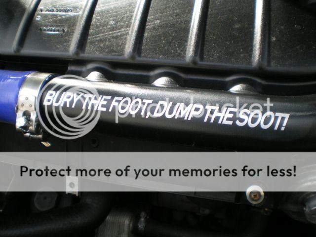 IMGP3619.jpg