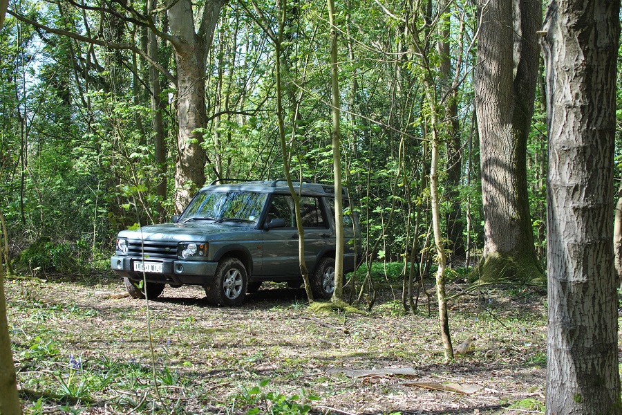 landrover-discovery-2-chilterns-woodland-2.jpg