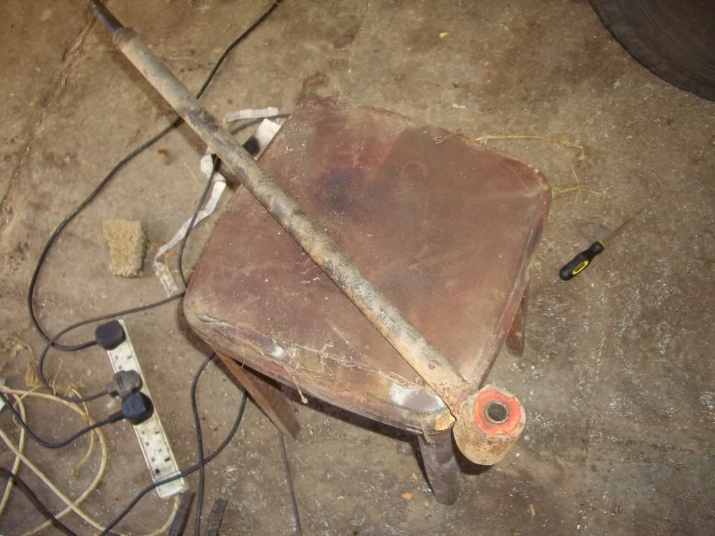 Bushstuff006.jpg
