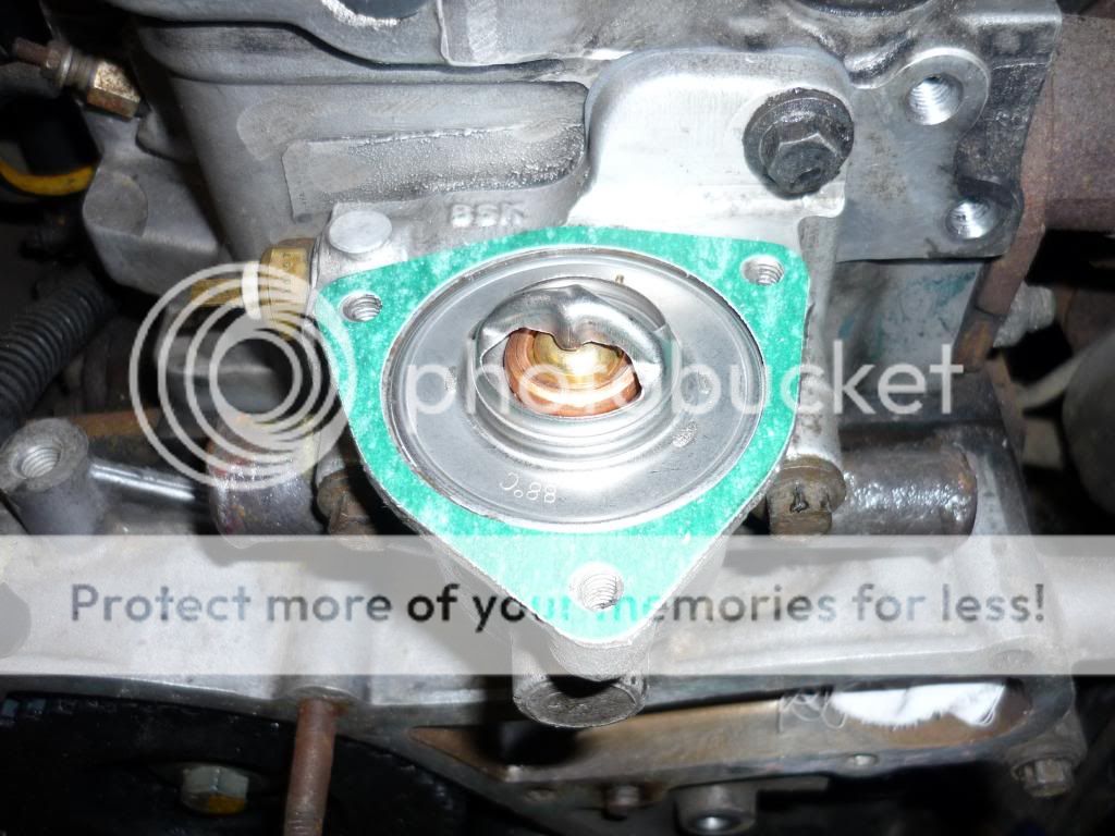 P1050350_zps1734d1cb.jpg