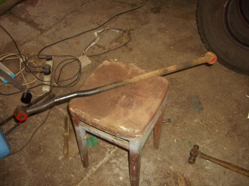 Bushstuff011.jpg