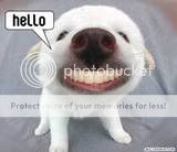 thhello.jpg