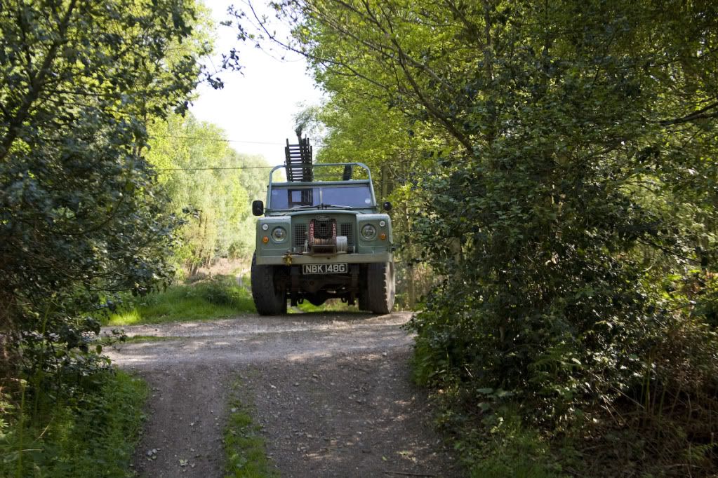 greenlaning-2.jpg