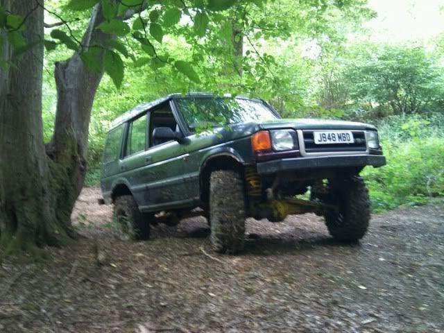 greenlaning2.jpg