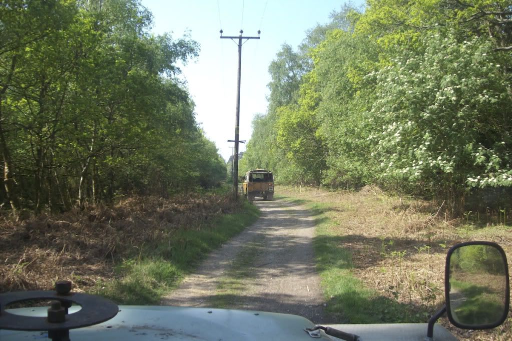 greenlaning_today-7.jpg