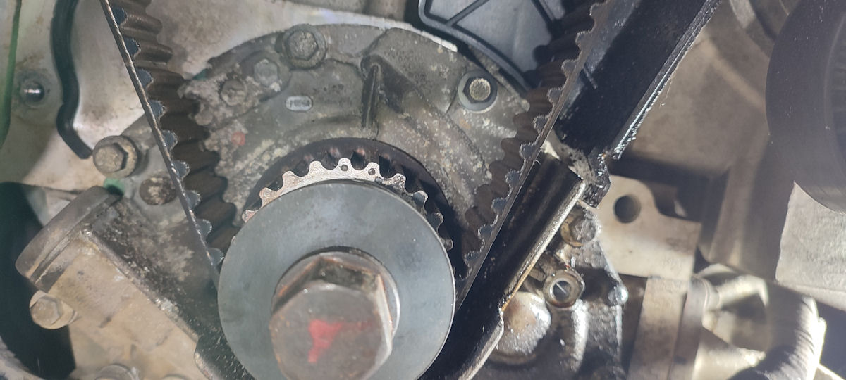 cog2.jpg