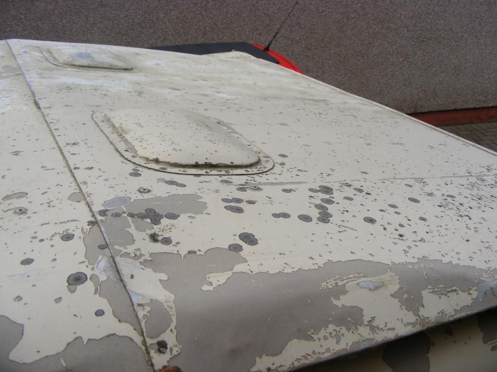 Roof001.jpg