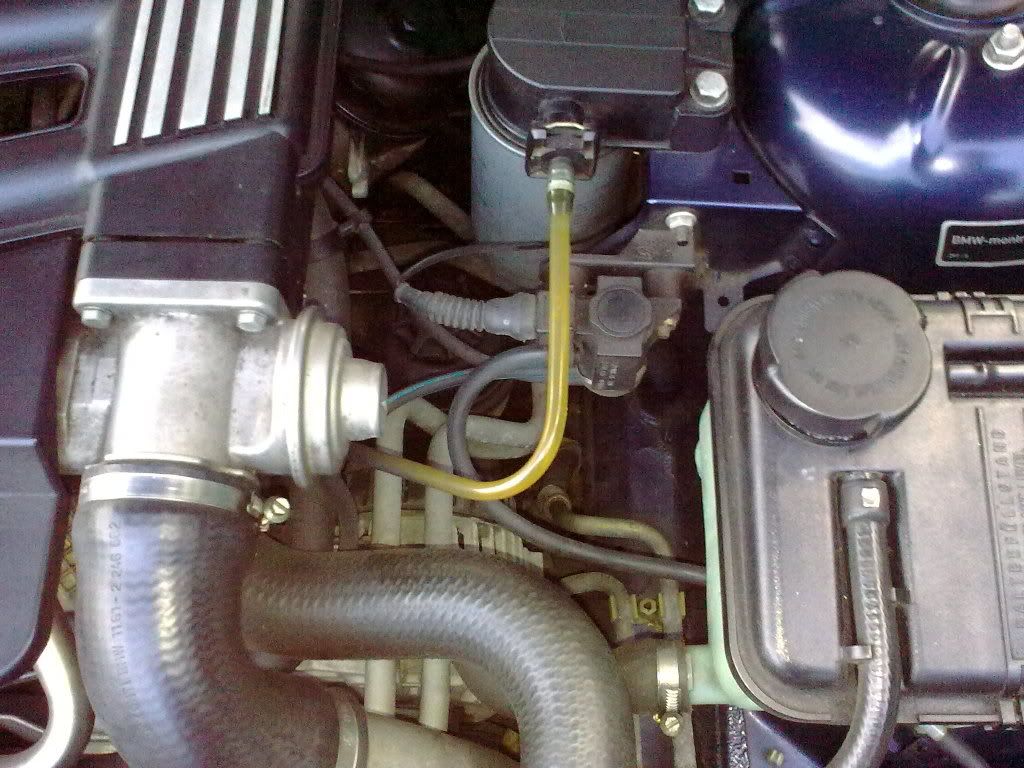 07072009063.jpg