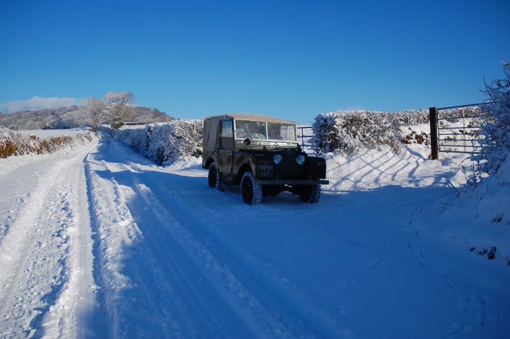 DSC_0075.jpg